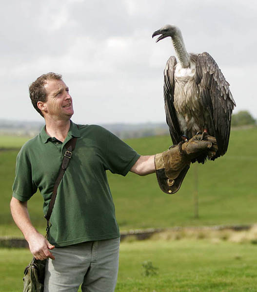 Chris and Dyson, African White-backed Vulture