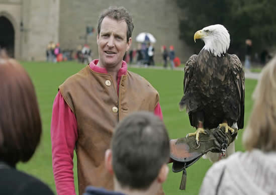 Chris and Sidney, Bald Eagle at Warwick Castle