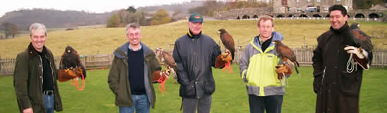 A Falconry Experience