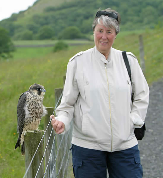 A friend with Didge, Peregrine Falcon