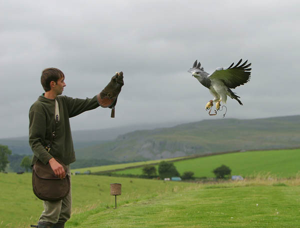 Paul and Heather, Chilean Eagle