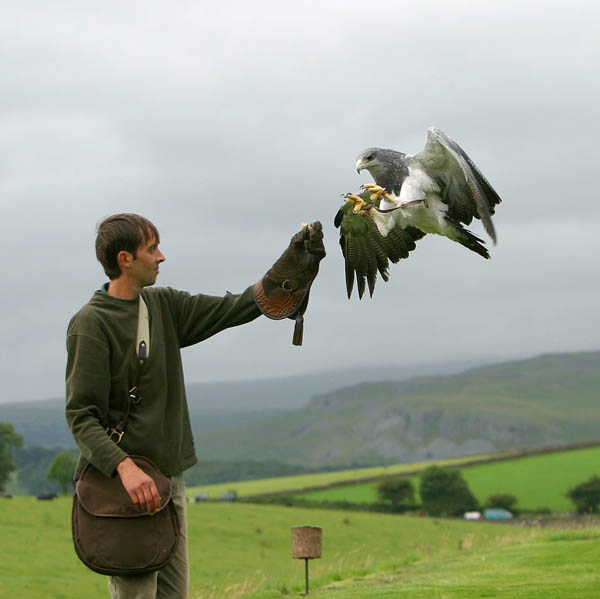 Paul and Heather, Chilean Eagle